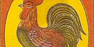 cock