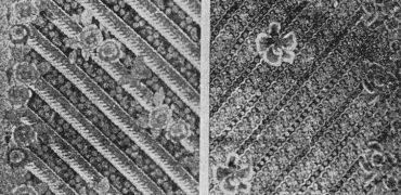 1951-dec